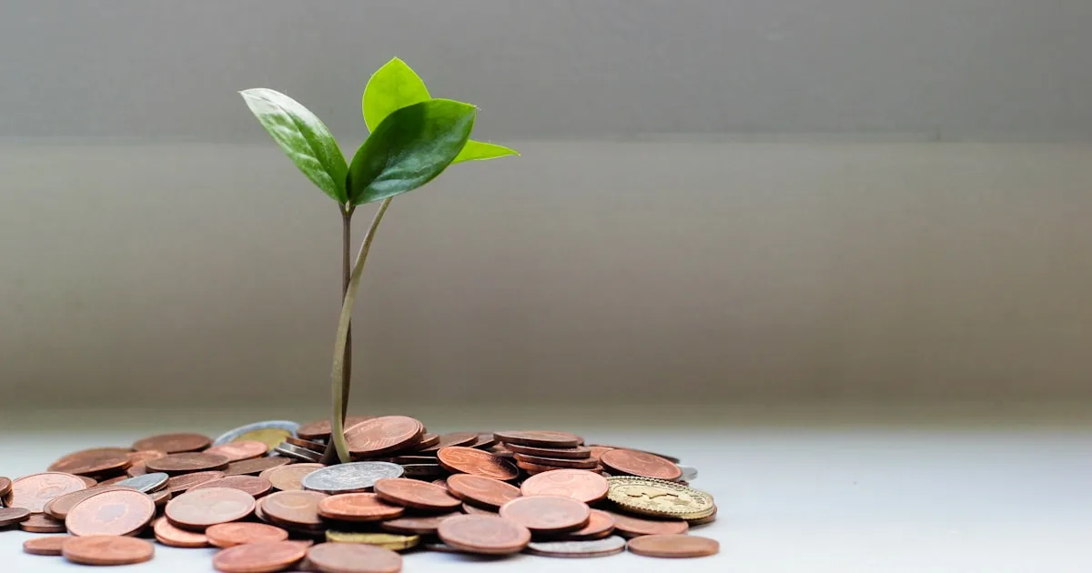 Monede și grafice financiare reprezentând dividende și impozite